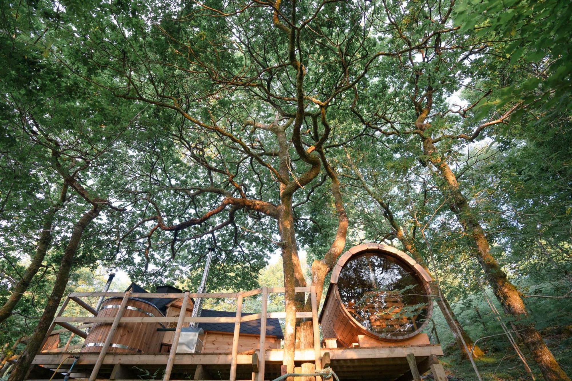 Chestnut Tree House With Hot Tub & Sauna Бармут Екстер'єр фото